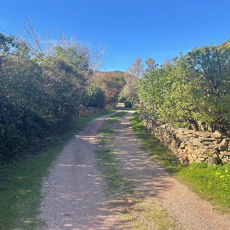 Villa Gegi Budoni Dış mekan fotoğraf
