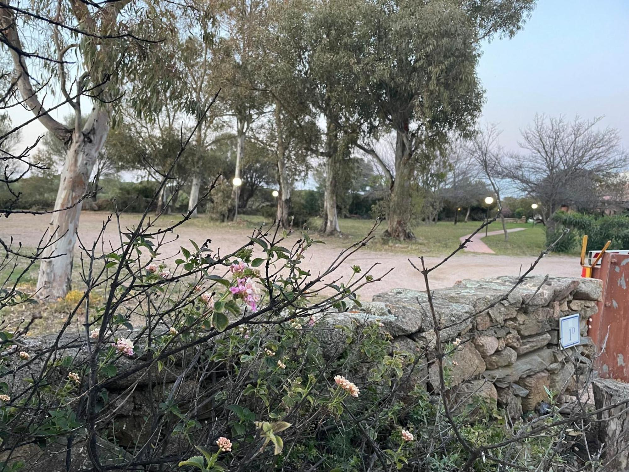 Villa Gegi Budoni Dış mekan fotoğraf