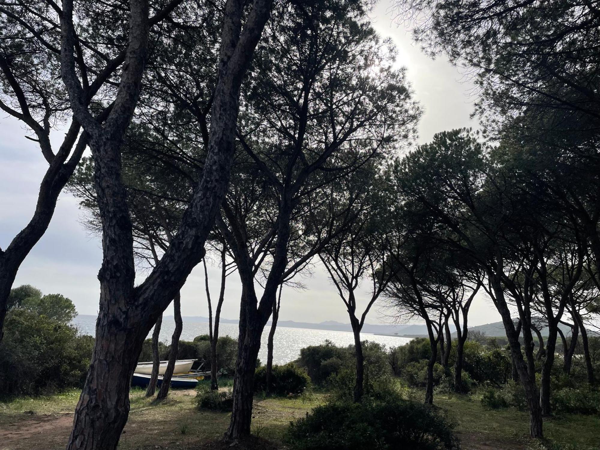 Villa Gegi Budoni Dış mekan fotoğraf